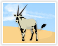 L'oryx