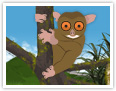 Le tarsier