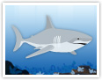 Le grand requin blanc