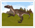 Le vélociraptor