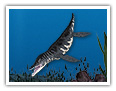 Le liopleurodon