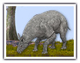 Le paraceratherium