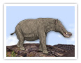 Le platybelodon