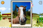 thumb_carte_cheval_fr